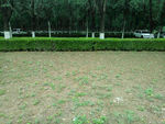 夏季公园绿色停车场