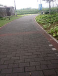 公园小路