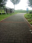 夏季绿色公园小路