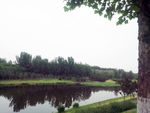 夏季绿色公园 夏季 绿色