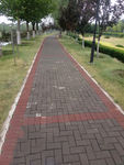 公园小路