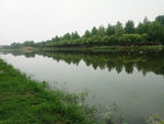 夏季绿色公园