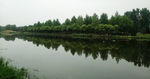 夏季绿色湿地公园