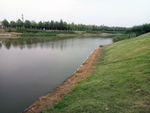 夏季绿色公园景观