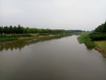 夏季绿色公园景观