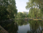 公园人工湖