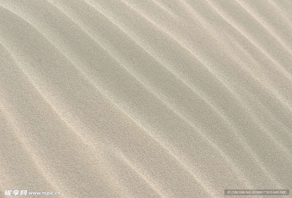 沙漠  沙子 纹理