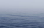海洋