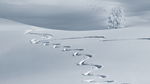 雪地  轨迹