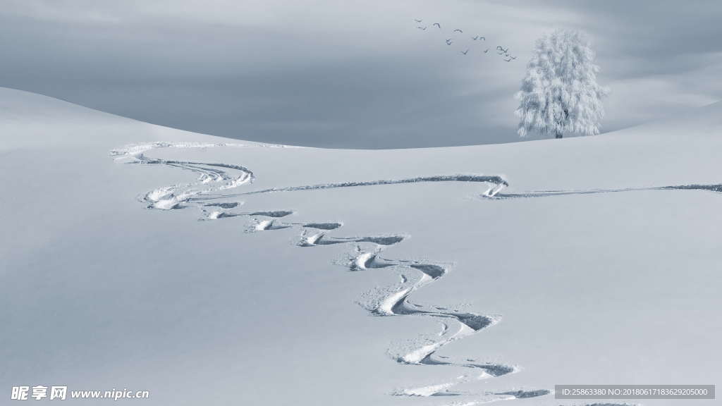 雪地  轨迹