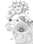 熊素描 熊插画