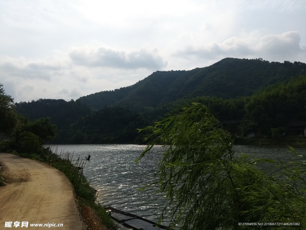 河 溪 柳树 乡间小路 农村