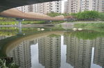 李村滨河美景