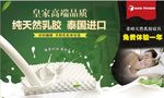 乳胶 海报 泰国 活动 分层