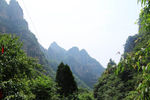 山景