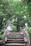 石桥