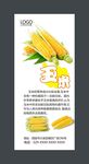 玉米展板