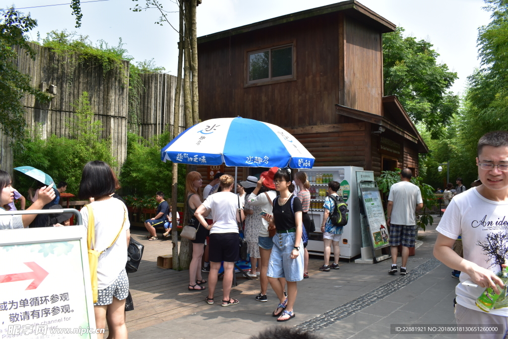 成都大熊猫繁育基地