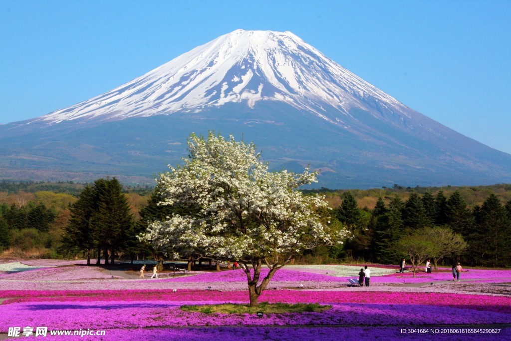 日本富士山脉风景图片