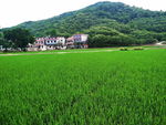 田园风光
