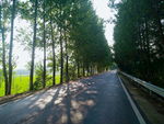 公路