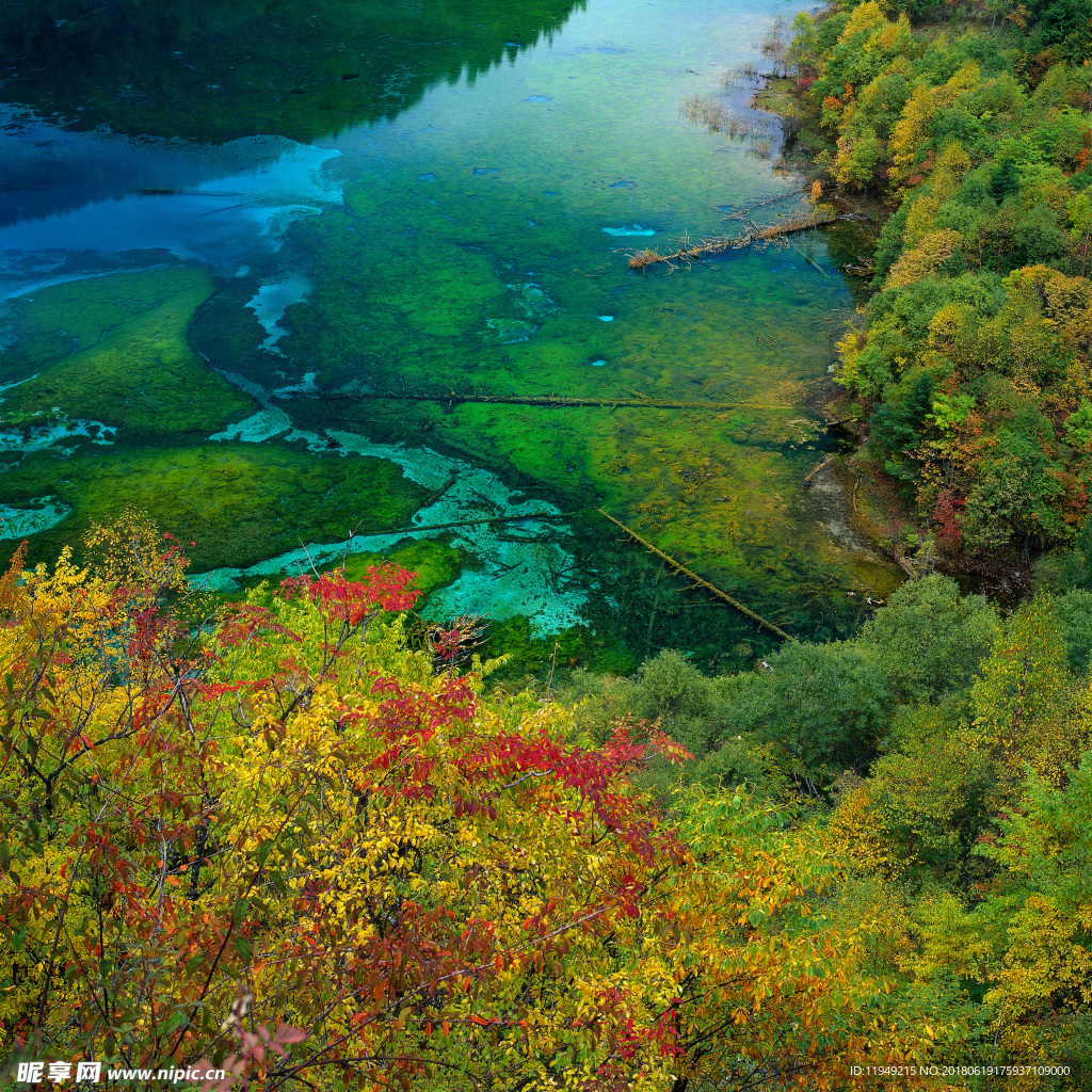 自然风景