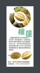 榴莲展板