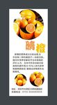 脐橙展架