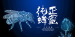 蜂蜜海报