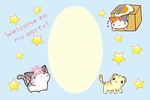 猫咪邀请函