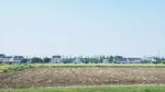 大自然 田地