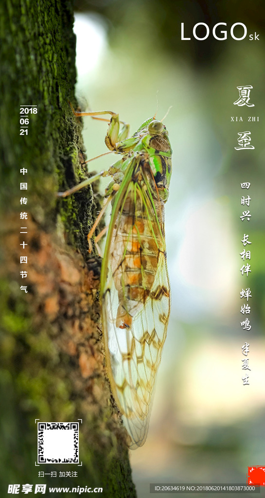 夏至