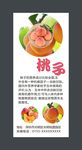 桃子展架