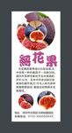 无花果展架