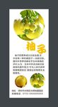 柚子展架