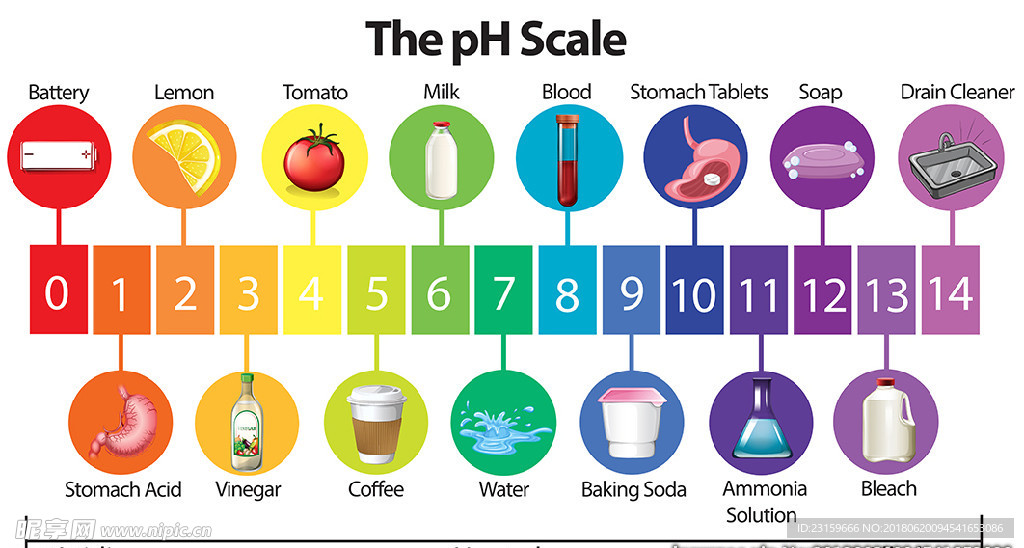 pH酸碱值的教育海报