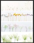 花草banner