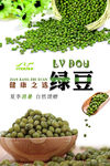 绿豆海报设计