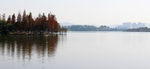 松山湖湖景