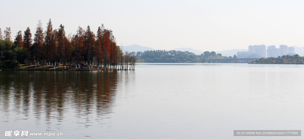 松山湖湖景