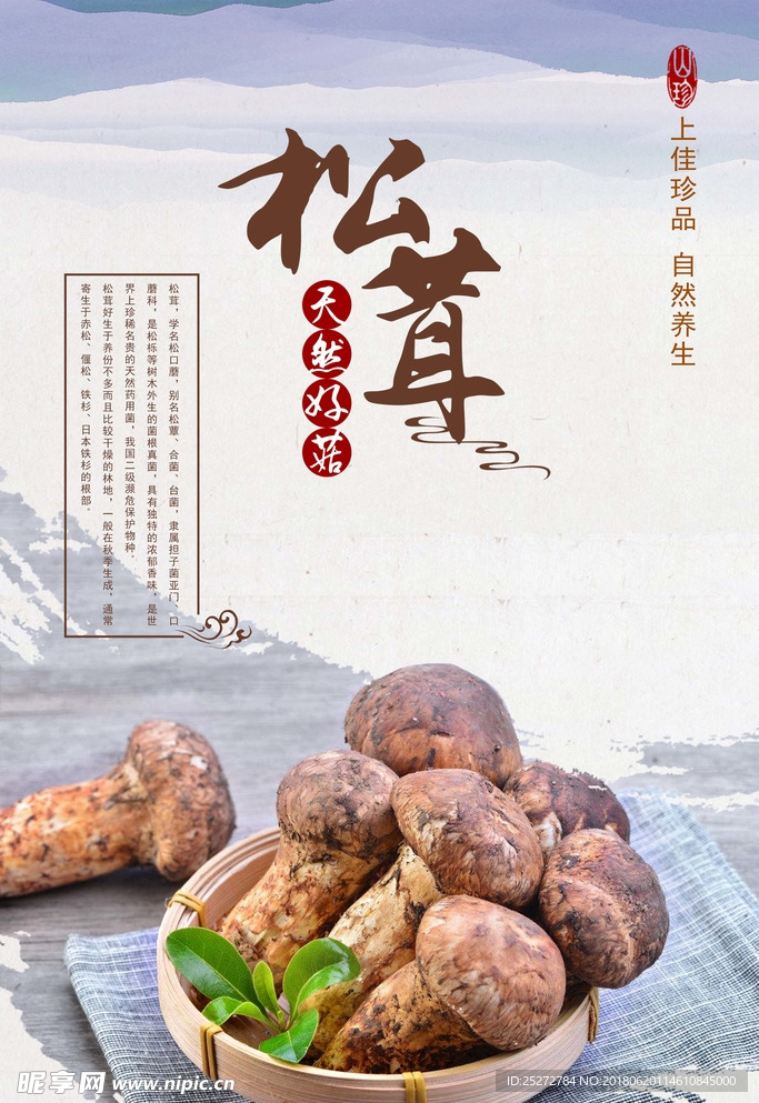 松茸海报