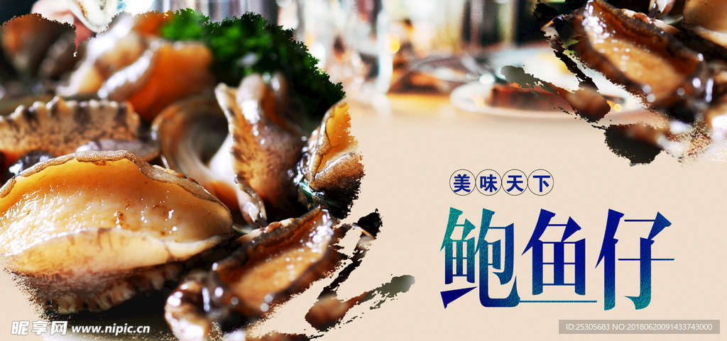 鲍鱼仔