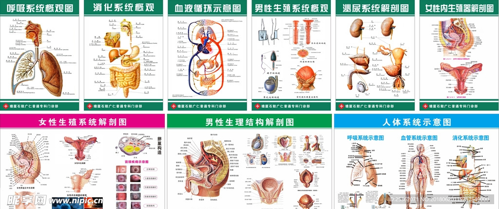 医院挂图