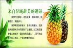 菠萝海报