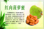 红肉菠萝蜜海报