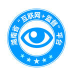 “互联网+监督”平台