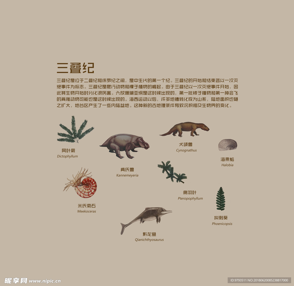 三叠纪生物