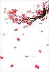 梅花素材