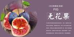 无花果展板