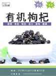 黑枸杞海报